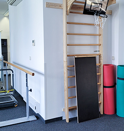 Sprossenwand und Yogamatten